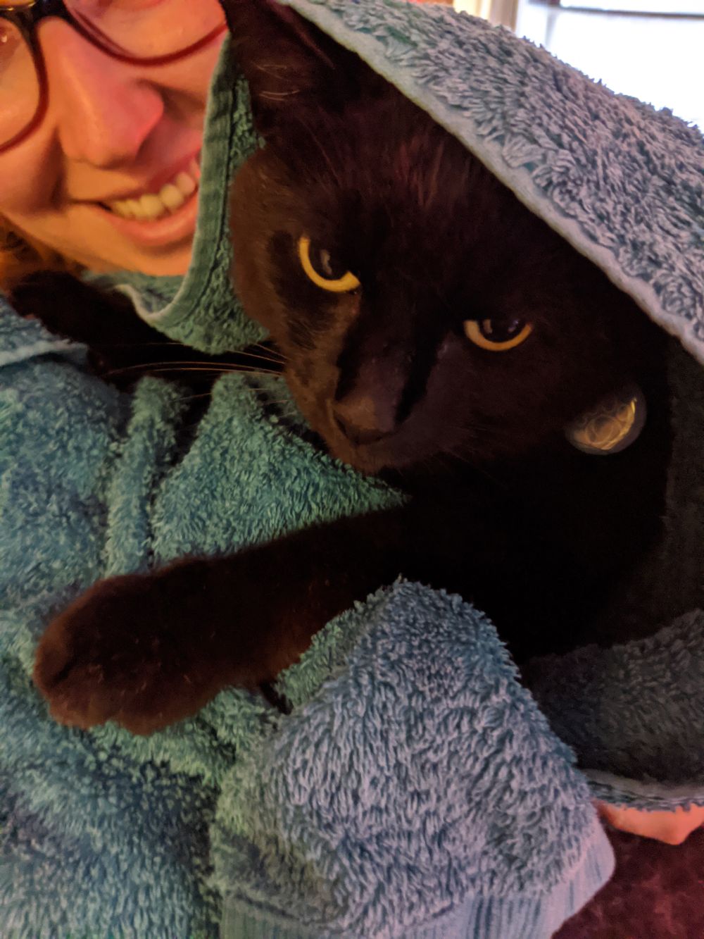 Black cat wrapped up in a blue blanket, being held by Anna, sitting up and meowing at the camera, looking a little annoyed, but not annoyed enough to jump out of Anna's arms