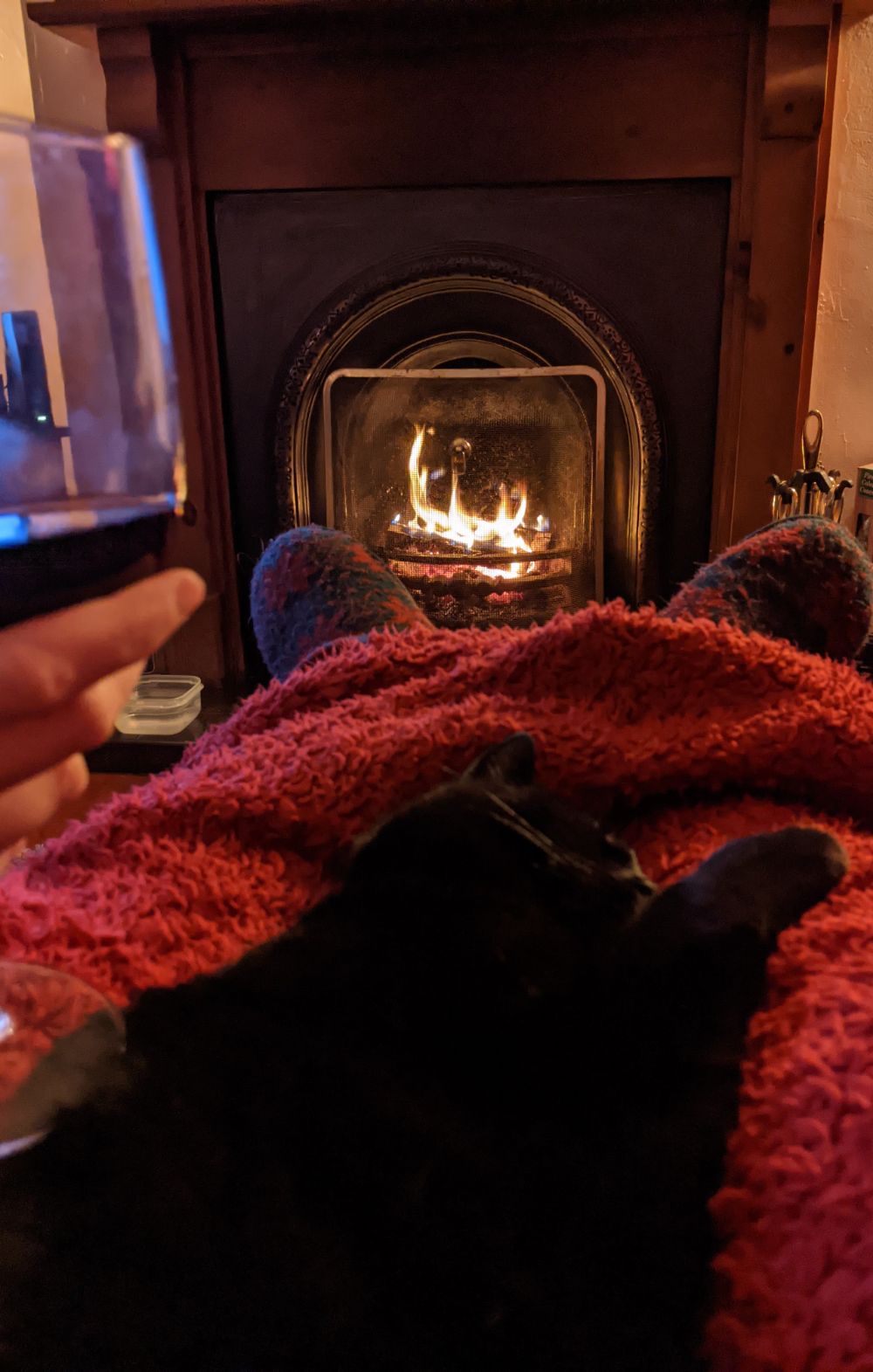 Black cat lying between Jamie's legs on a red blanket, with a fire roaring in the background, and a large glass of Malbec