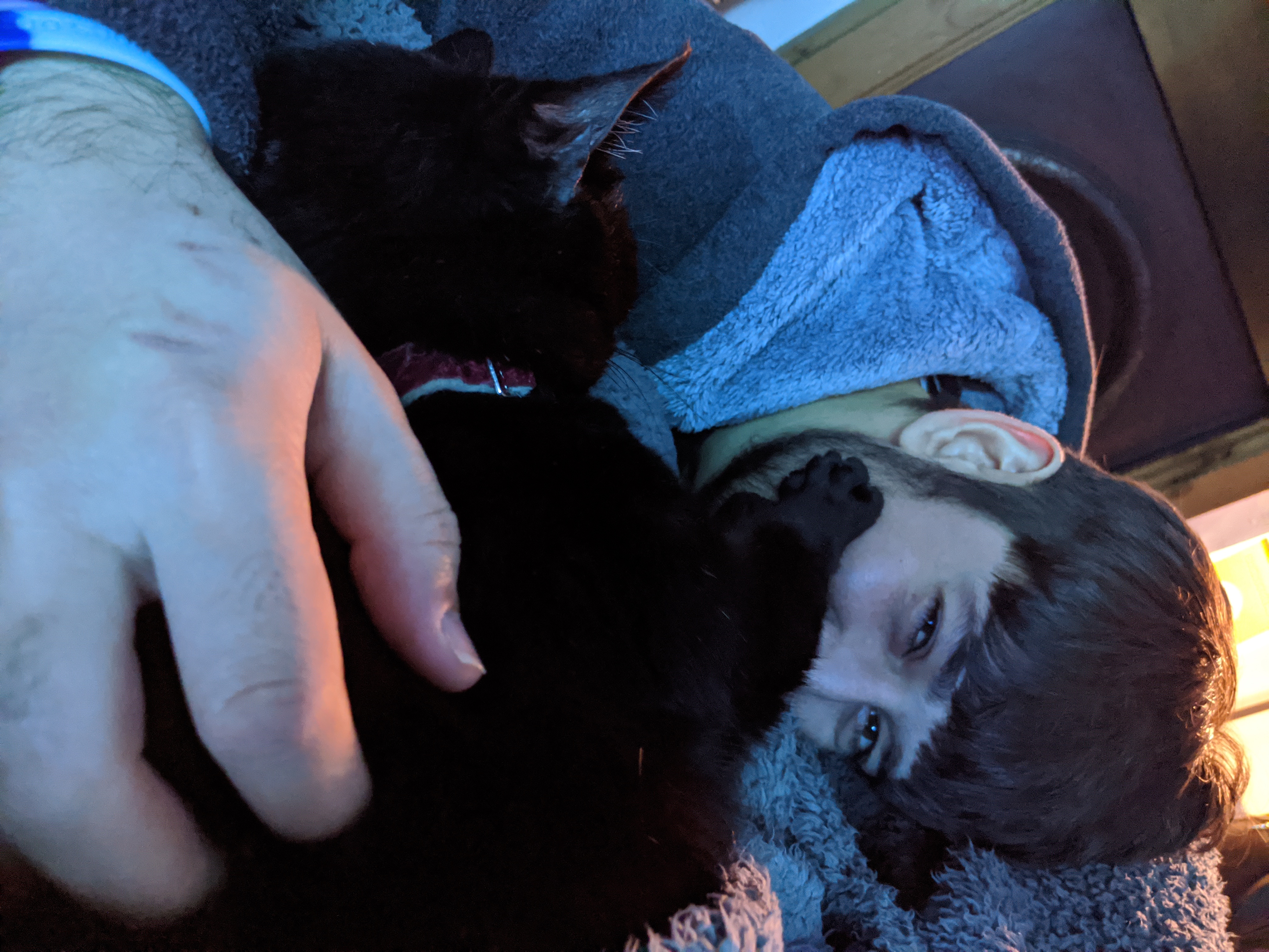 Black cat lying on his side, stretched out, with his paws resting on Jamie's cheek