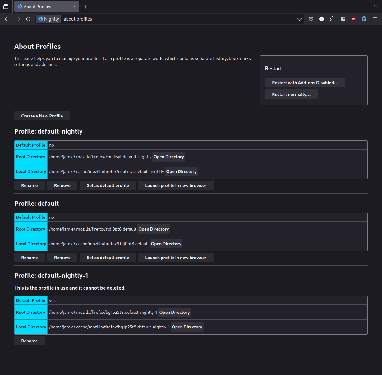 The Firefox About Profiles page. On it, there are three profiles shown - default-nightly, default, and default-nightly-1 which is currently in use. It is assumed that default-nightly is my original profile, and default-nightly-1 was created, for some reason, by Firefox 133