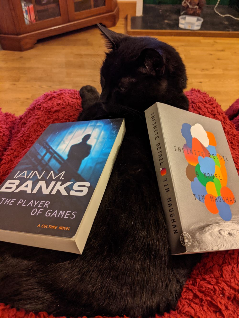 A black cat lying on a red blanket, looking unimpressed as two books - "The Player of Games" by Iain M Banks, and "Infinite Detail: A Novel" by Tim Maughan - lie on his back