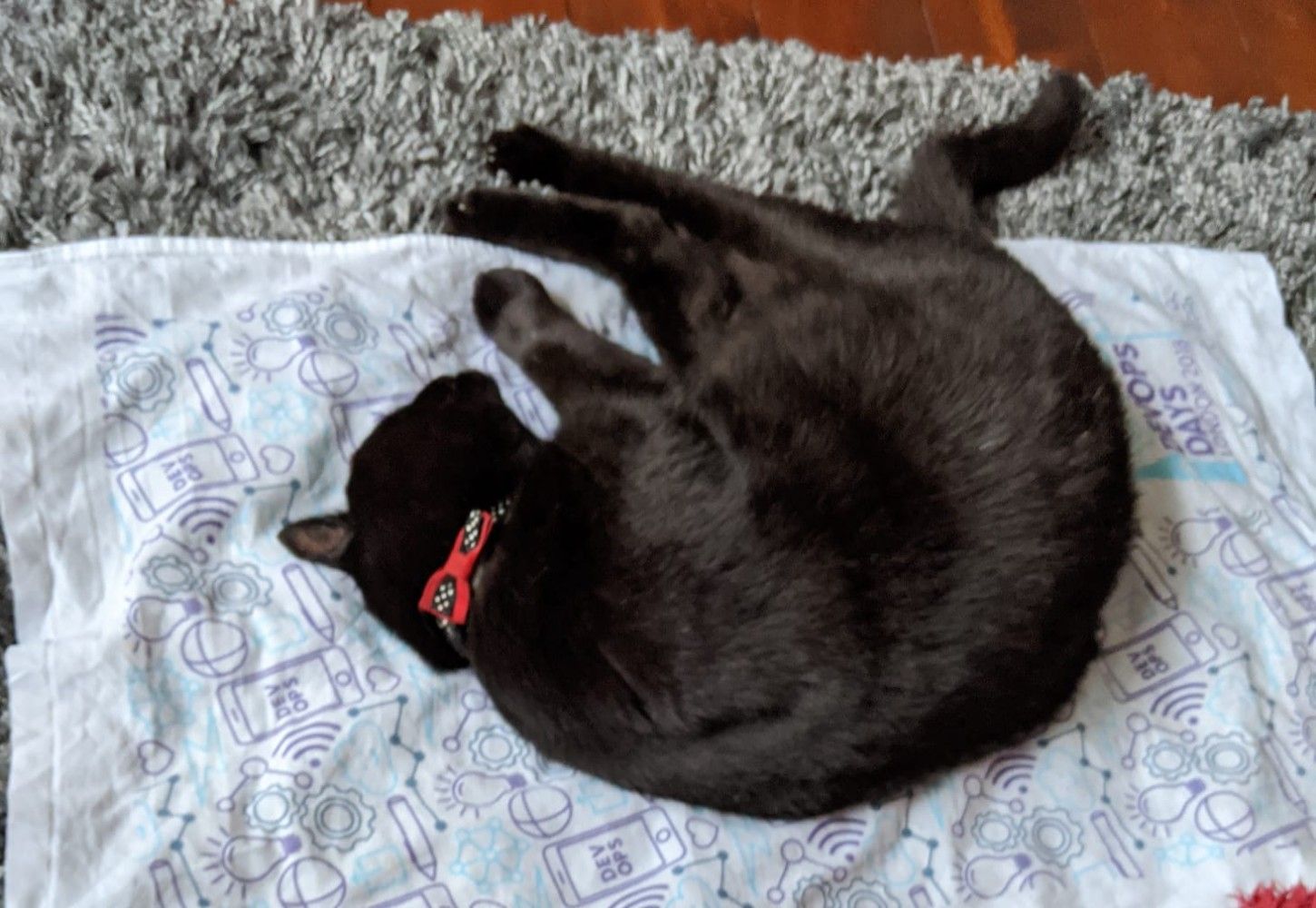Black cat lying on top of a damn DevOpsDays London tea towel, flopped out and enjoying some level of cool