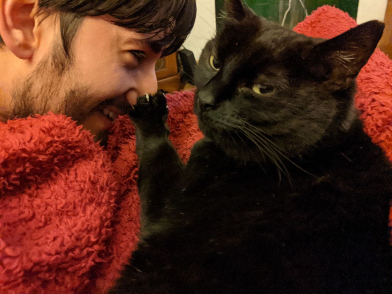 Jamie looking at Morph, a black cat, beaming, with his paw on Jamie's nose, and looking back at the camera with an expression that says "I'm so tired of this shit"