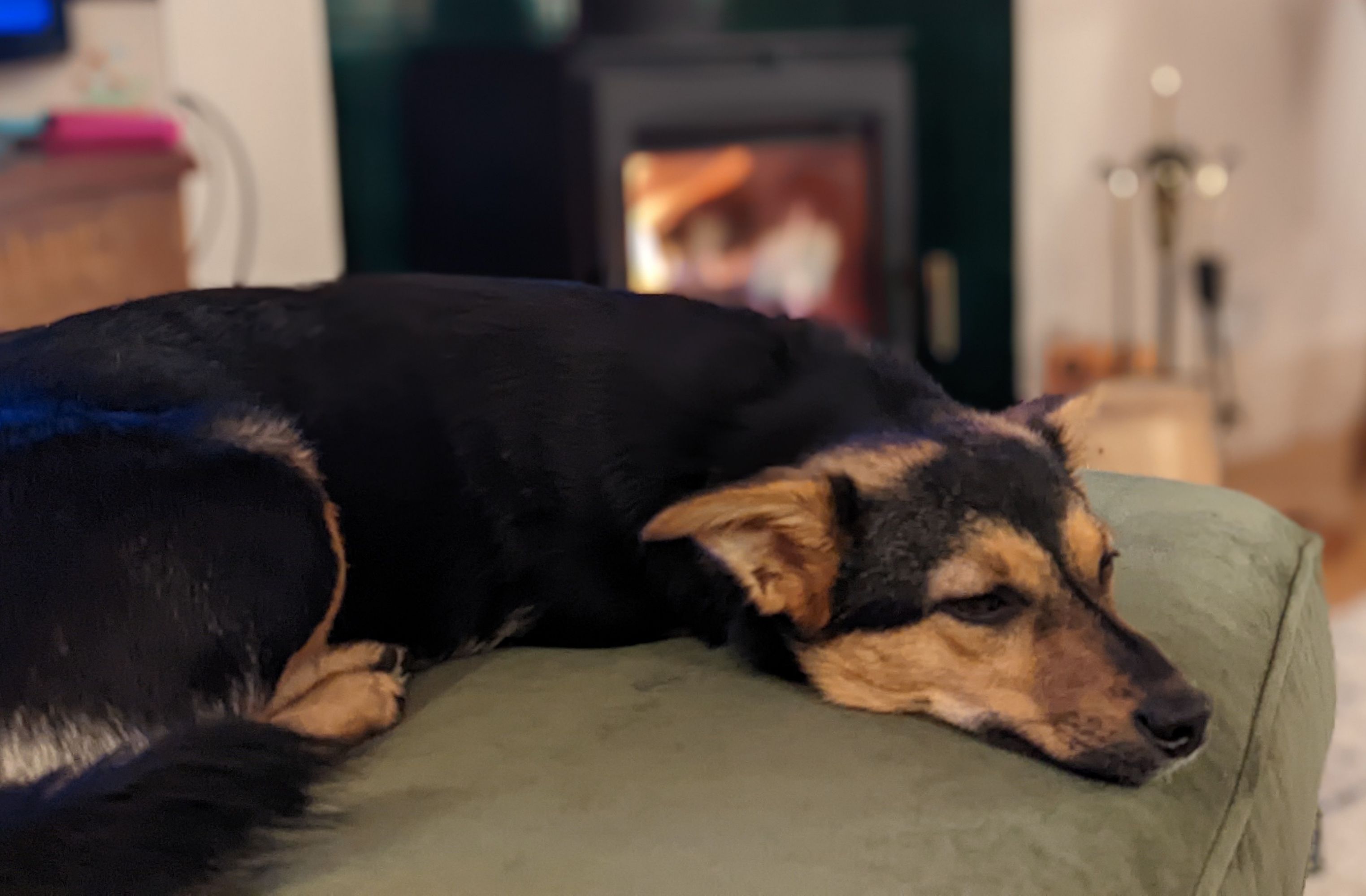 Cookie the puppy fast asleep, slightly curled up, on the velvet green footstool. Behind her, slightly blurred as the focus is on Cookie, is the log burner blazing away