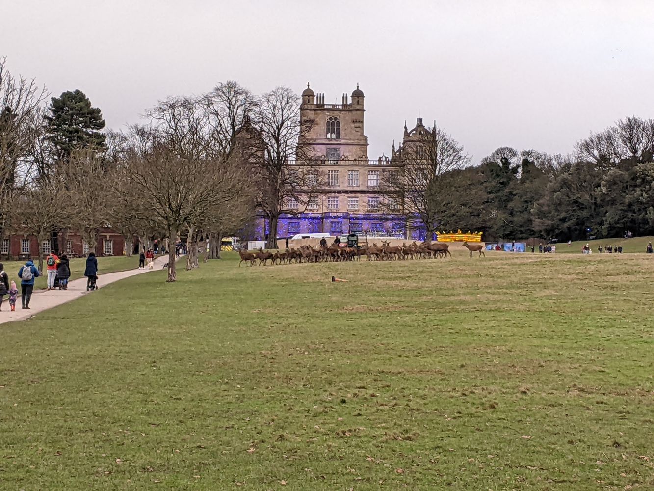 A photo of the grass behind Wallaton Hall, looking up at the hall, with a herd of deer and a single stag crossing right to left in a very orderly line