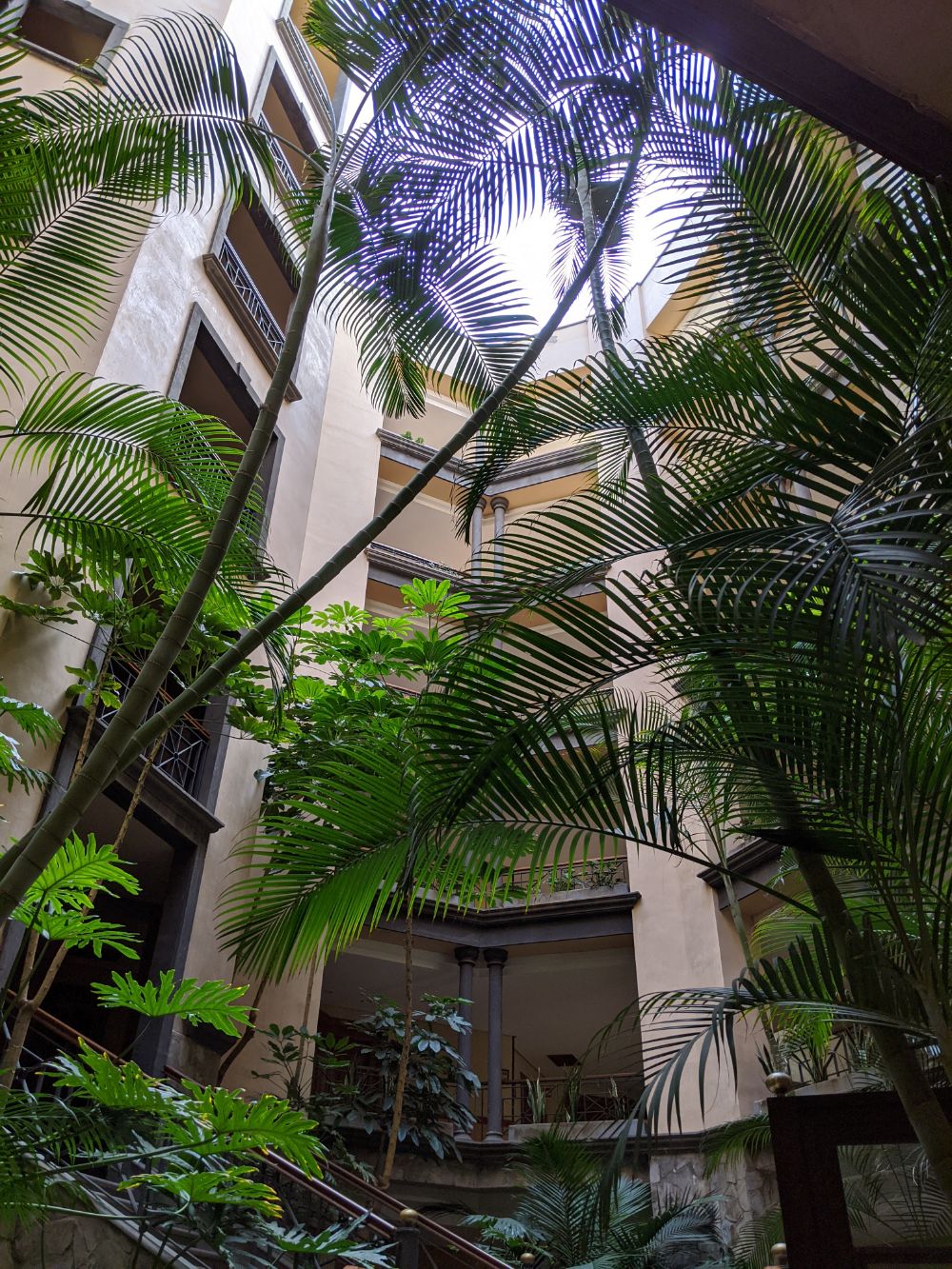 Interior of a hotel, looking up, full of trees and plants